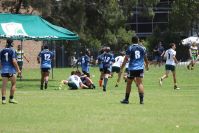 Endeavour Gala Day – u14s – Hunter v Illawarra
