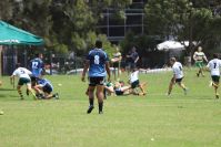 Endeavour Gala Day – u14s – Hunter v Illawarra