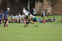 Endeavour Gala Day – u14s – Hunter v Illawarra