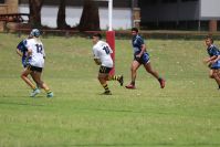 Endeavour Gala Day – u14s – Hunter v Illawarra