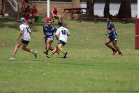 Endeavour Gala Day – u14s – Hunter v Illawarra