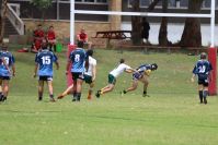 Endeavour Gala Day – u14s – Hunter v Illawarra