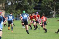 Endeavour Gala Day – U13s – Endeavour v Illawarra