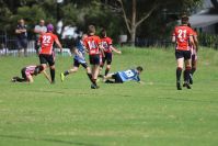 Endeavour Gala Day – U13s – Endeavour v Illawarra