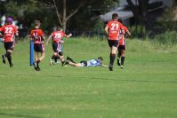 Endeavour Gala Day – U13s – Endeavour v Illawarra