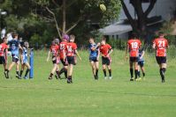 Endeavour Gala Day – U13s – Endeavour v Illawarra