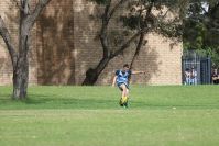 Endeavour Gala Day – U13s – Endeavour v Illawarra
