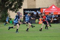 Endeavour Gala Day – U13s – Endeavour v Illawarra