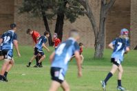 Endeavour Gala Day – U13s – Endeavour v Illawarra