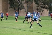 Endeavour Gala Day – U13s – Endeavour v Illawarra
