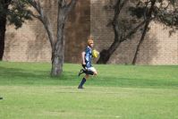 Endeavour Gala Day – U13s – Endeavour v Illawarra