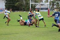 Endeavour Gala Day – u15s – Hunter v Illawarra