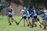 Endeavour Gala Day – u15s – Hunter v Illawarra