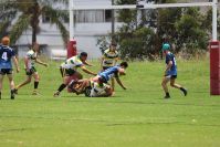 Endeavour Gala Day – u15s – Hunter v Illawarra