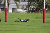 Endeavour Gala Day – U13s – Endeavour v Illawarra