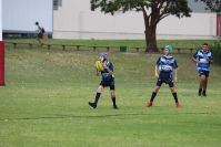 Endeavour Gala Day – U13s – Endeavour v Illawarra