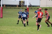 Endeavour Gala Day – U13s – Endeavour v Illawarra