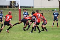Endeavour Gala Day – U13s – Endeavour v Illawarra
