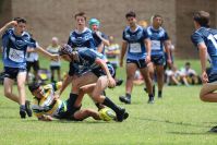 Endeavour Gala Day – u15s – Hunter v Illawarra