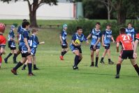Endeavour Gala Day – U13s – Endeavour v Illawarra