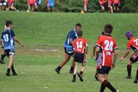 Endeavour Gala Day – U13s – Endeavour v Illawarra