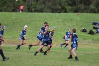 Endeavour Gala Day – U13s – Endeavour v Illawarra