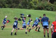 Endeavour Gala Day – U13s – Endeavour v Illawarra