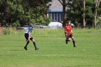 Endeavour Gala Day – U13s – Endeavour v Illawarra