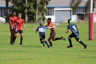 Endeavour Gala Day – U13s – Endeavour v Illawarra
