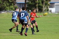 Endeavour Gala Day – U13s – Endeavour v Illawarra