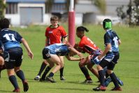 Endeavour Gala Day – U13s – Endeavour v Illawarra