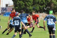 Endeavour Gala Day – U13s – Endeavour v Illawarra