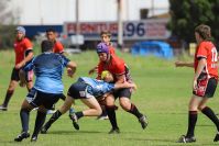 Endeavour Gala Day – U13s – Endeavour v Illawarra