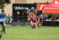 Endeavour Gala Day – U13s – Endeavour v Illawarra