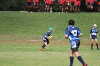 Endeavour Gala Day – U13s – Endeavour v Illawarra