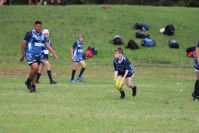 Endeavour Gala Day – U13s – Endeavour v Illawarra