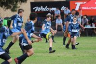 Endeavour Gala Day – U13s – Endeavour v Illawarra