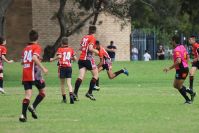 Endeavour Gala Day – U13s – Endeavour v Illawarra