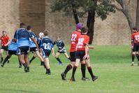 Endeavour Gala Day – U13s – Endeavour v Illawarra