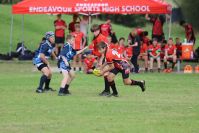 Endeavour Gala Day – U13s – Endeavour v Illawarra
