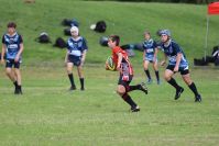 Endeavour Gala Day – U13s – Endeavour v Illawarra
