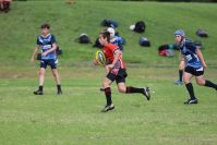 Endeavour Gala Day – U13s – Endeavour v Illawarra
