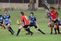Endeavour Gala Day – U13s – Endeavour v Illawarra
