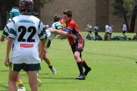 Endeavour Gala Day – u13s – Endeavour v Hunter