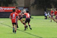 Endeavour Gala Day – u13s – Endeavour v Hunter