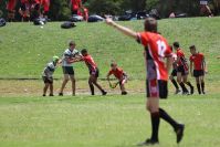 Endeavour Gala Day – u13s – Endeavour v Hunter