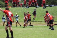Endeavour Gala Day – u13s – Endeavour v Hunter
