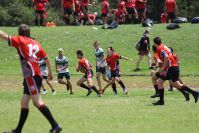 Endeavour Gala Day – u13s – Endeavour v Hunter