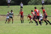 Endeavour Gala Day – u13s – Endeavour v Hunter