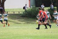 Endeavour Gala Day – u13s – Endeavour v Hunter